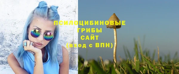дживик Зуевка