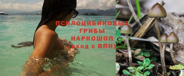 mdma Ивантеевка